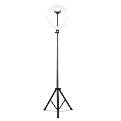 MZ-10 10 Inch Integrated Telescopic Folding Live Fill Light 3 Light Modes 10 Brightness Level Dimmable LED Ring Light for Makeup Photography YouTube Vlog TIK Tok